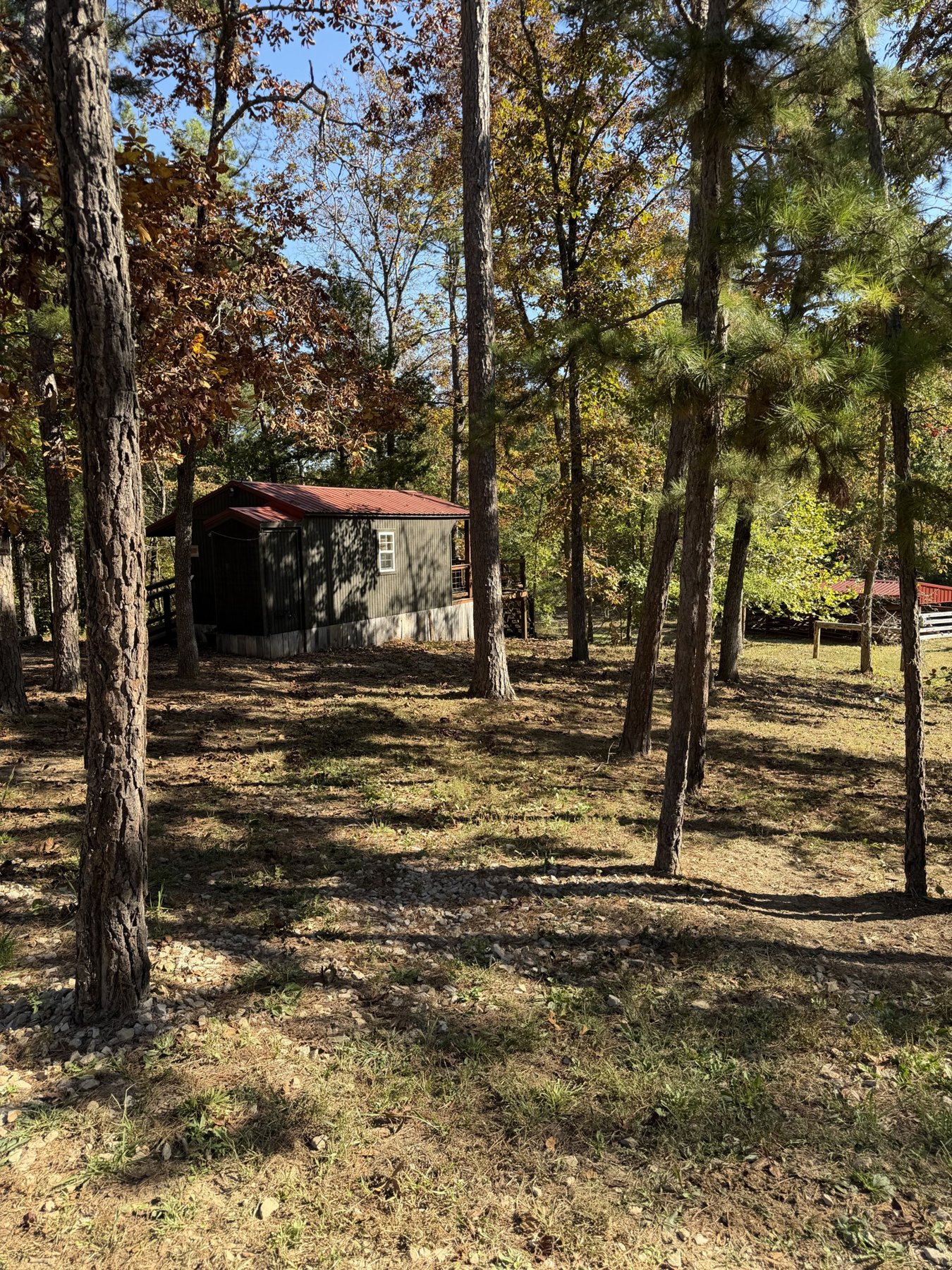 The Bunk House under the pines