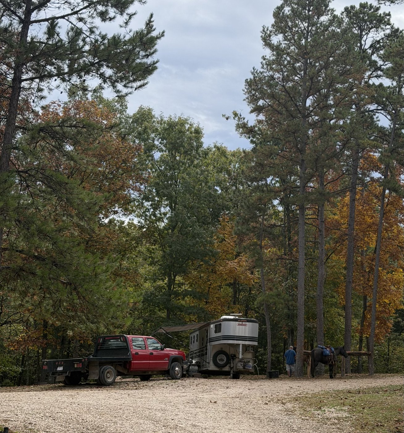 Truck, horse trailer and horse under fall trees at Old Desperado Ranch